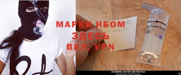 стаф Заводоуковск