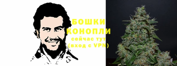 стаф Заводоуковск