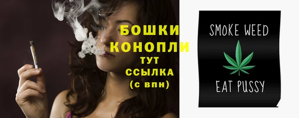 стаф Заводоуковск