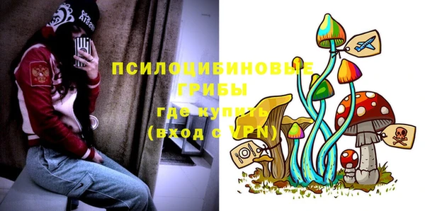 стаф Заводоуковск