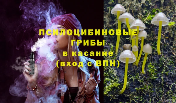 стаф Заводоуковск