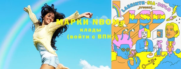 стаф Заводоуковск