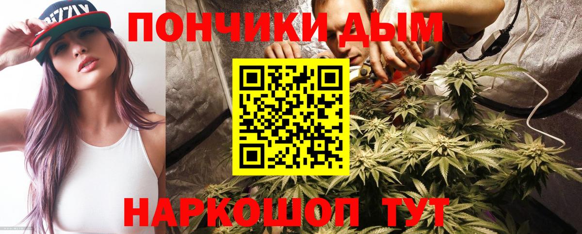 Бошки Шишки LSD WEED  МАРИХУАНА тримм  Россия  Вход с VPN 